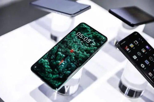 錘子首款5G手機確認，或命名堅果Pro 4，軟件體驗成亮點