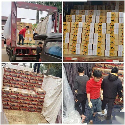 同舟共冀，共同戰“疫”——河北博泉集團捐贈32噸澄邁農產品支援抗疫一線