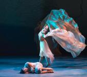 南寧綜合文藝表演 網(wǎng)絡文化經(jīng)營與營業(yè)性演出許可證合規(guī)指南